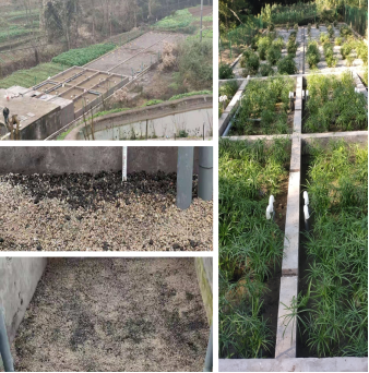 1728984645577598.png image.png