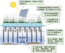 1729066292923441.png image.png