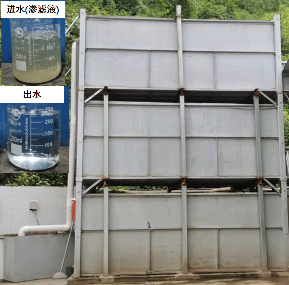 1730279240841499.png 1.png