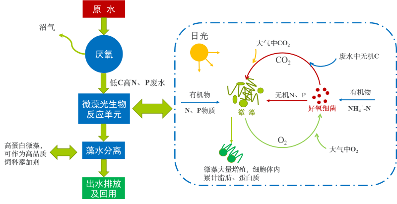 1732691941727260.png 1 (2).png